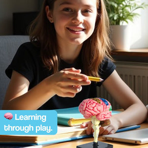 Little Anatomist 4D Build & Learn Science Kits