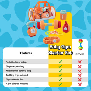 Baby Gym Starter Set (view 21)