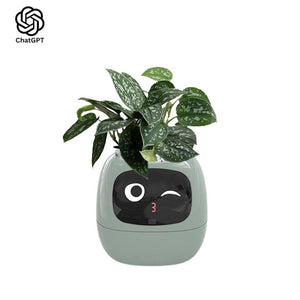 Meet Ivy - ChatGPT Powered GrowBuddy Smart Plant Care System