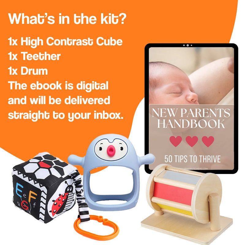 Multi-Sensory Developmental Toys Kit