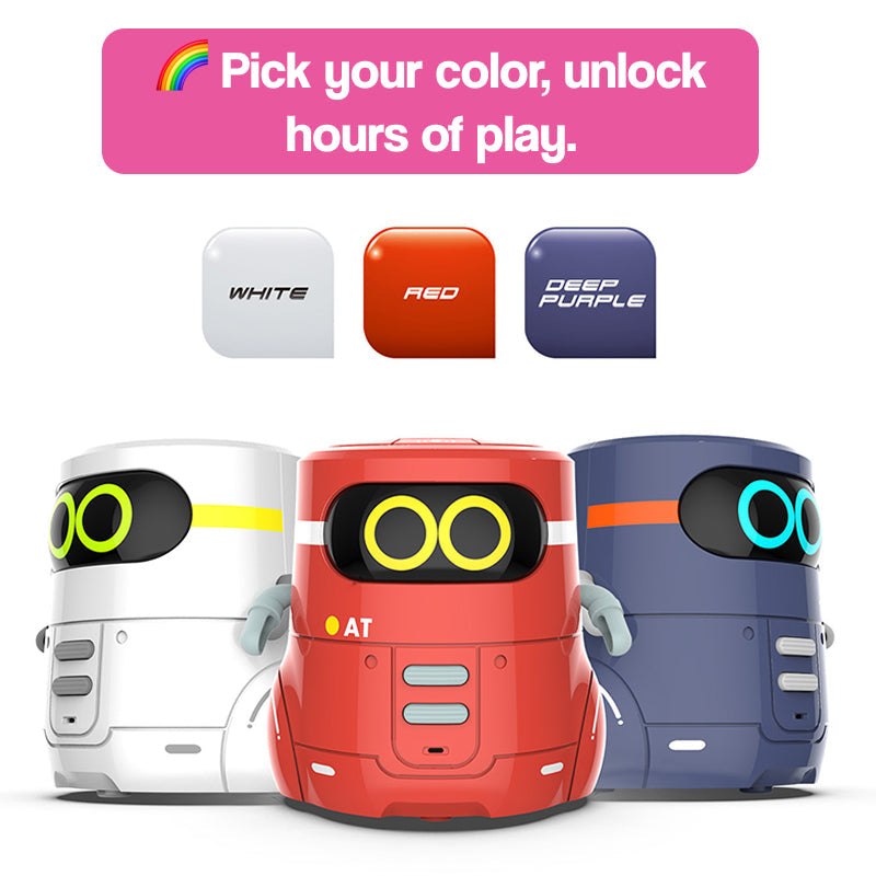 i-Learn & Play Interactive Robot