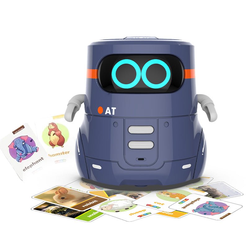 i-Learn & Play Interactive Robot